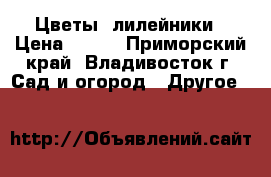 Цветы  лилейники › Цена ­ 100 - Приморский край, Владивосток г. Сад и огород » Другое   